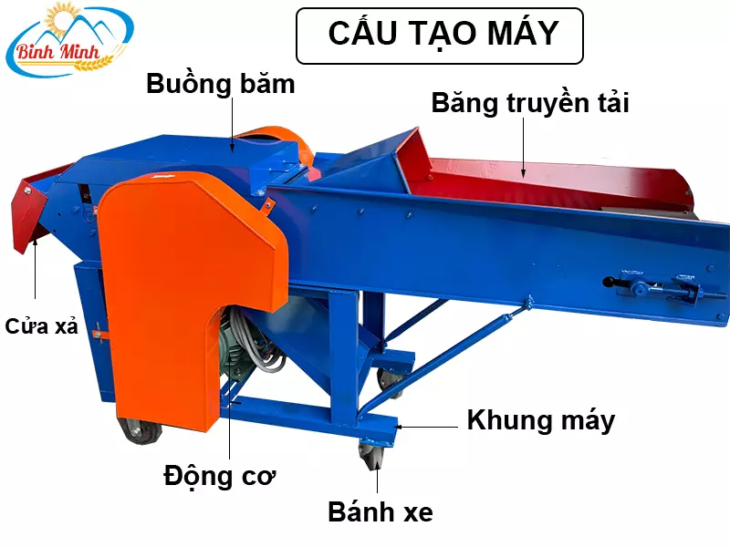Cấu tạo <yoastmark class=