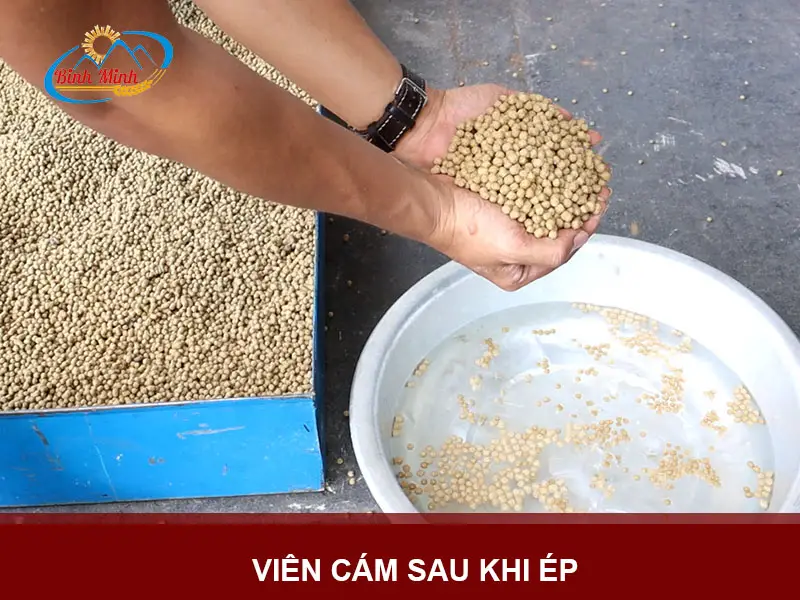 cam-noi-cho-ca_result222