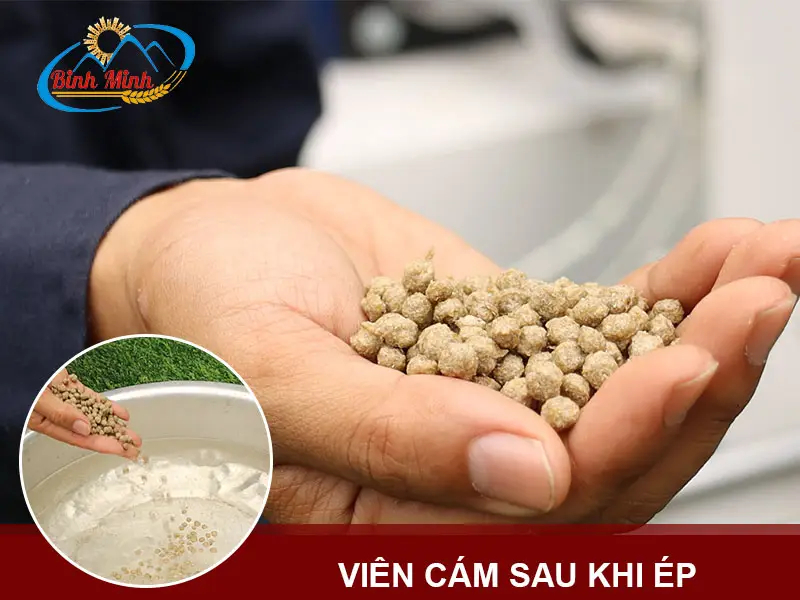 cam-vien-cho-ca_result222