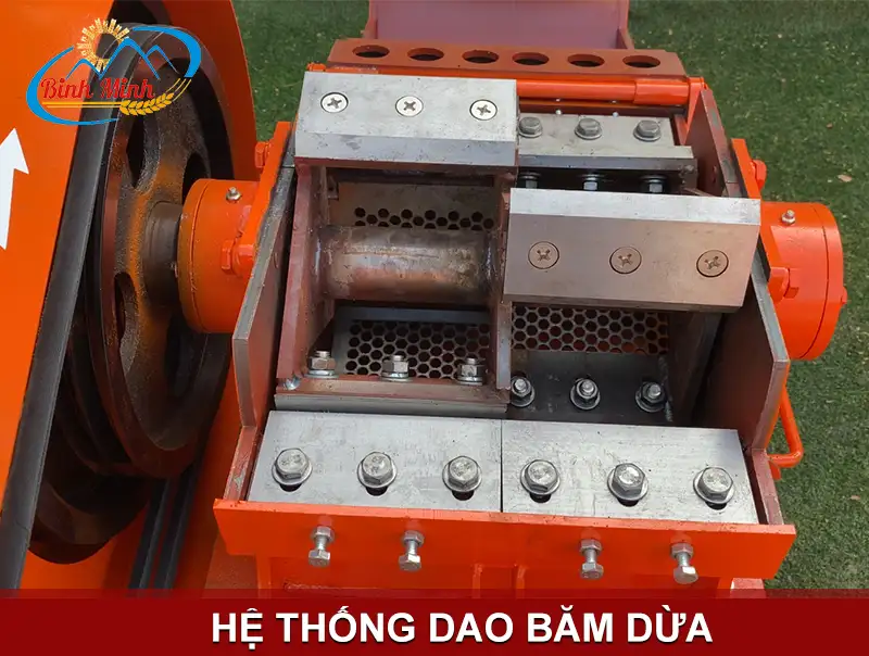 dao-bam-xo-dua_result222