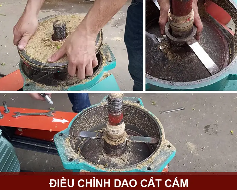 dao-cat-cam_result222