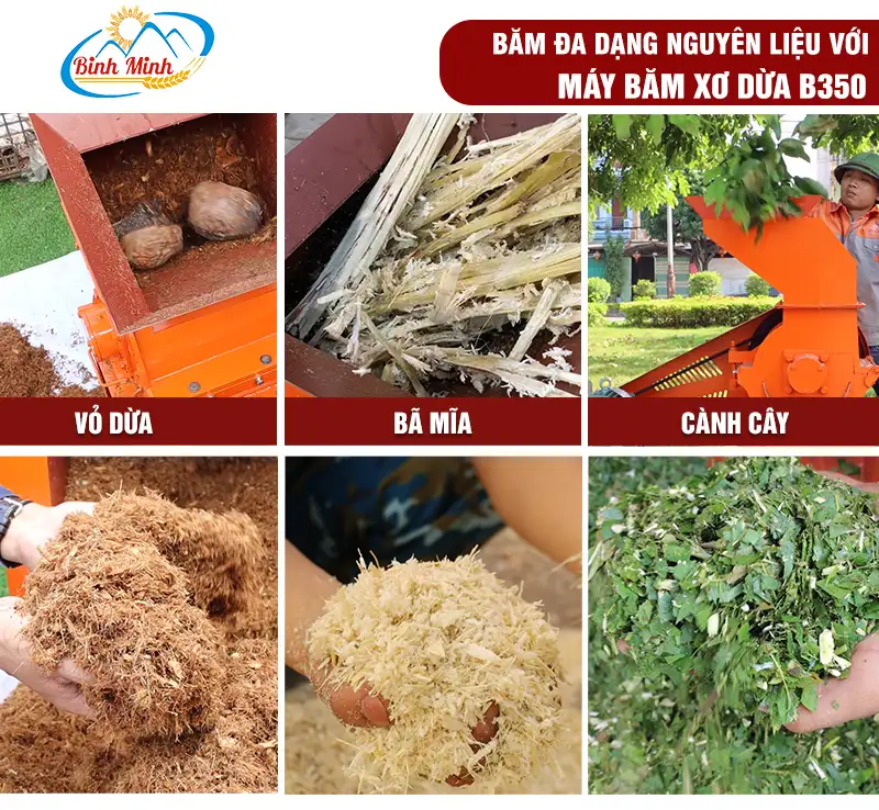 may-bam-ba-mia_result222