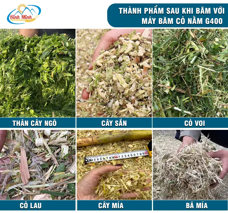 may-bam-cay-mia_result222