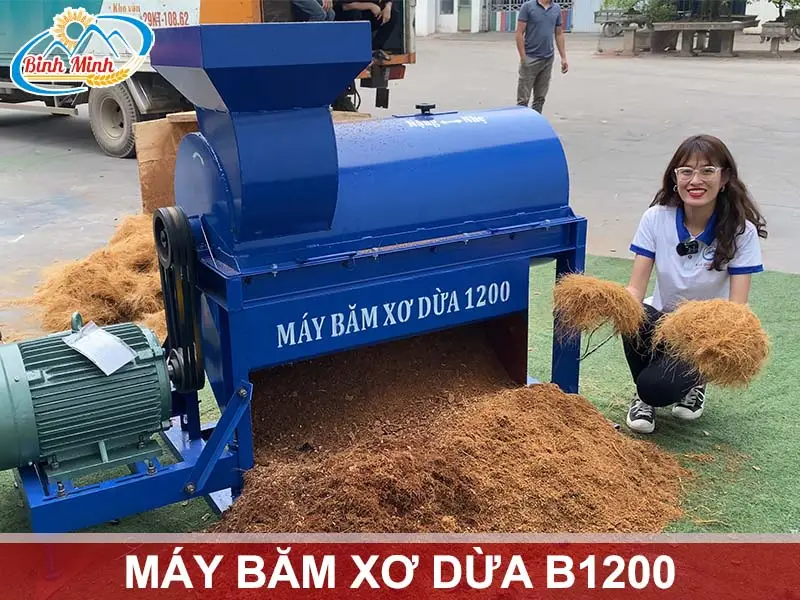 may-bam-xo-dua-b1200
