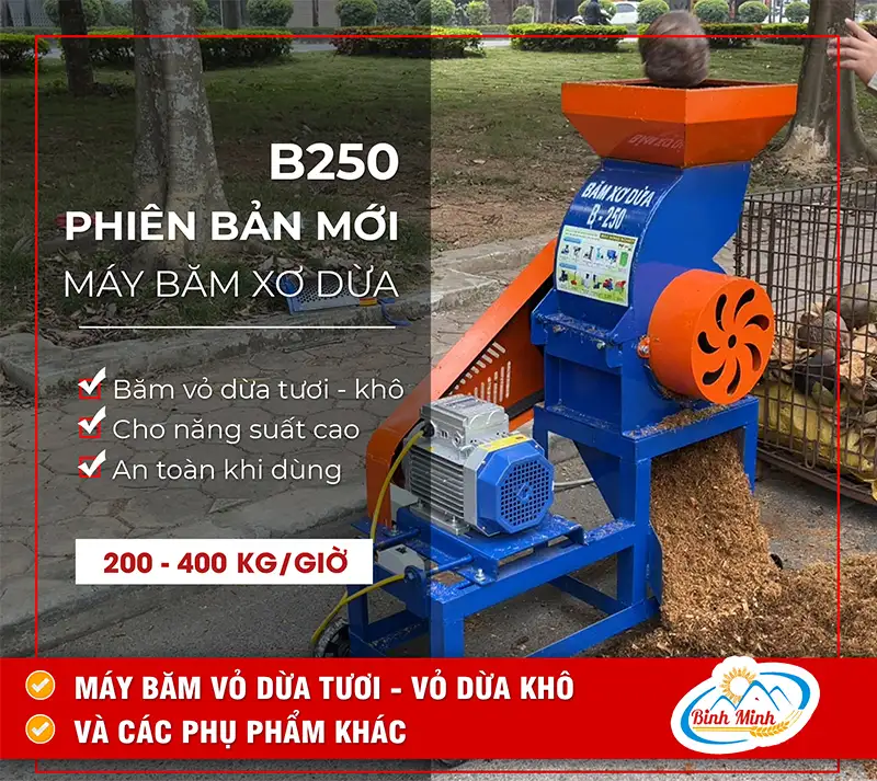 may-bam-xo-dua-b250-phien-ban-moi-binh-minh_result222
