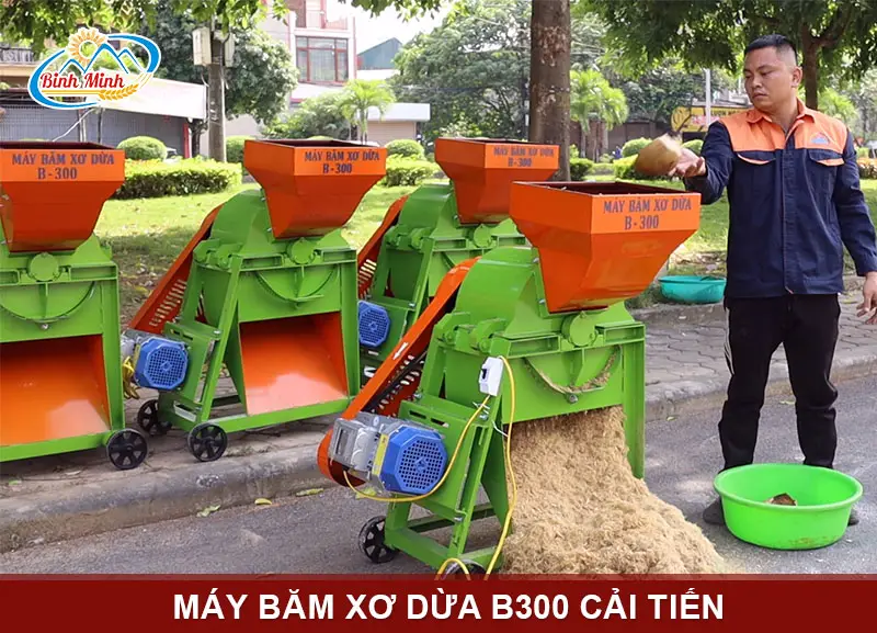 may-bam-xo-dua-b300_result222