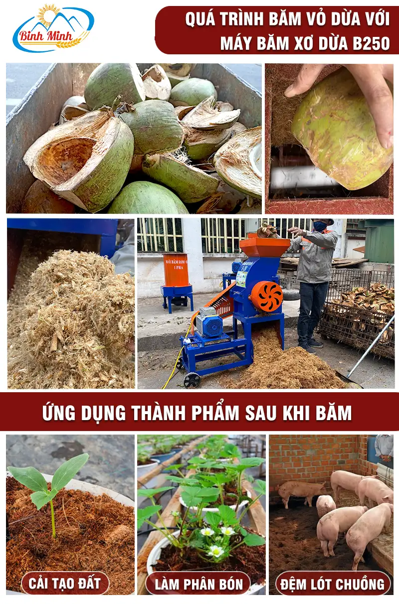 quy-trinh-bam-vo-dua-b250_result222