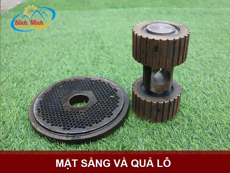 sang-ep-vien copy_result222