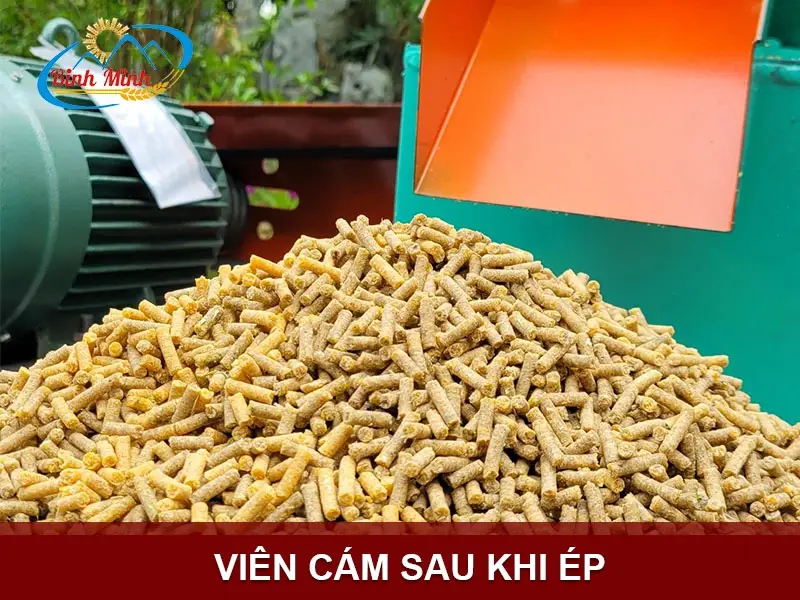 vien-cam copy_result222