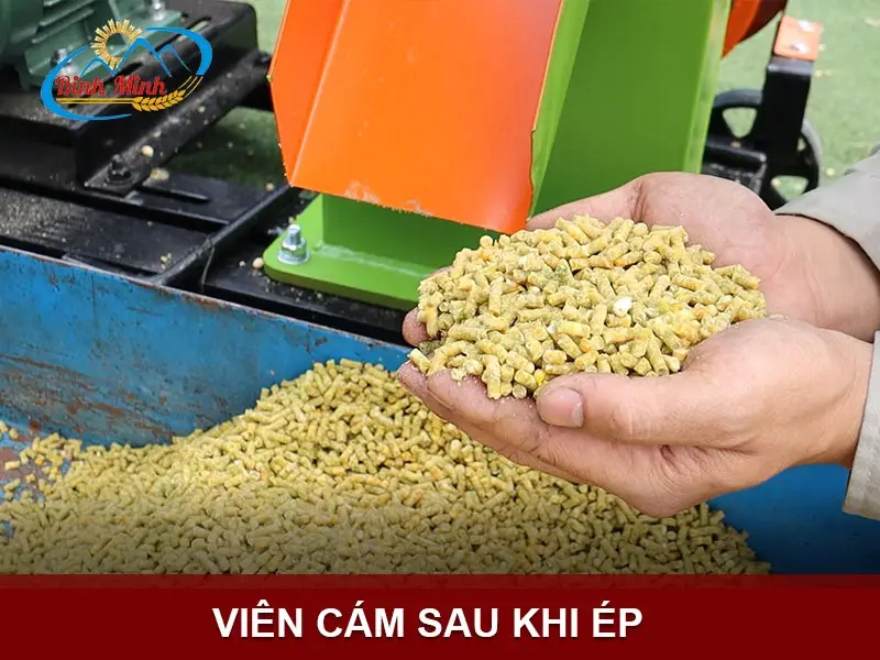 vien-cam copy_result222