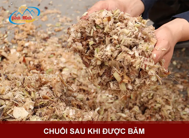 bam-chuoi-cho-lon_result222