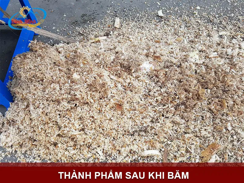 bam-chuoi-cho-lon_result222