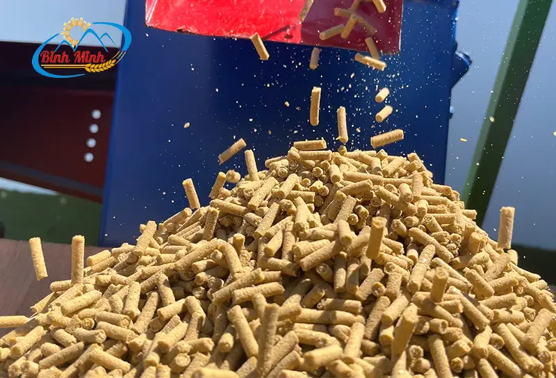 cam-vien-cho-ga_result222