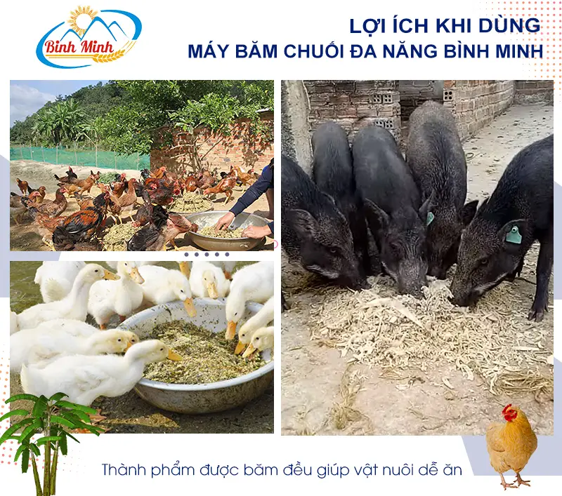 loi-ich-khi-dung-may-bam-chuoi_result222