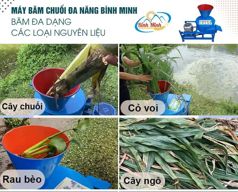 may-bam-chuoi-cay_result222