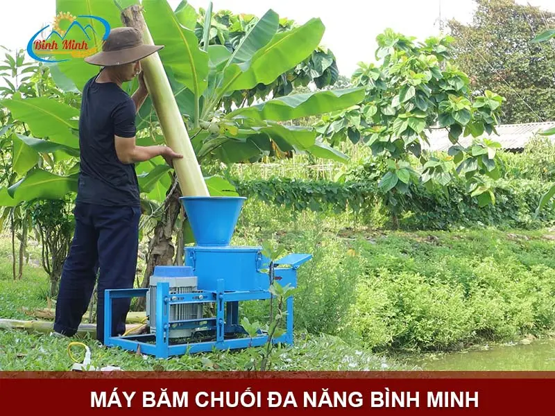 may-bam-chuoi-da-nang-binh-minh_result222