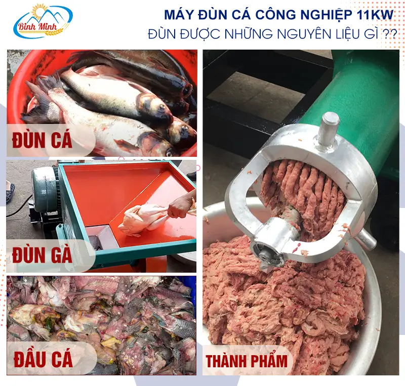 may-dun-ca_result222