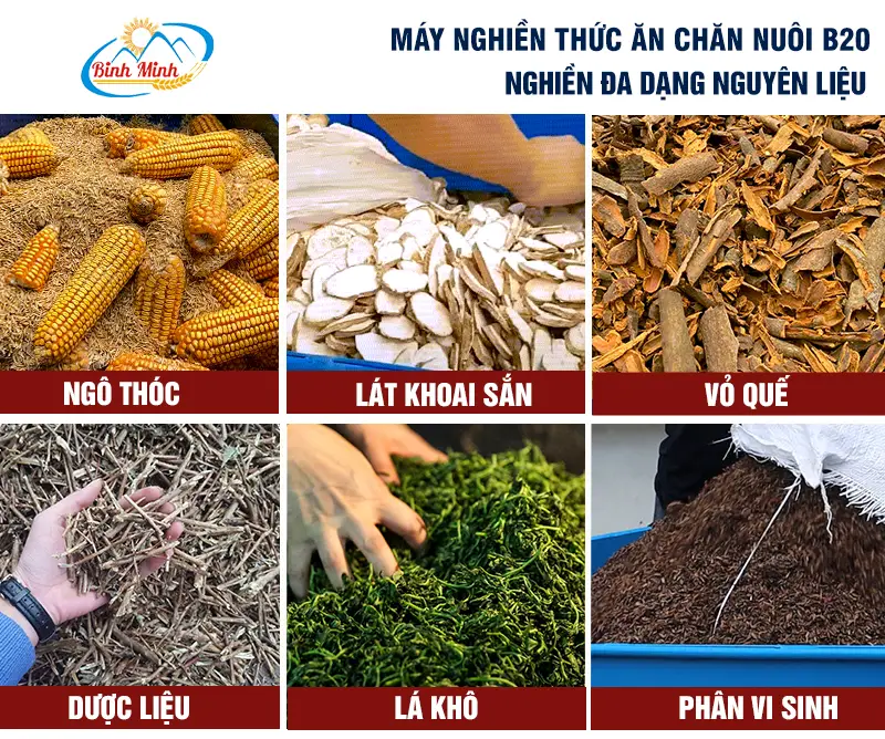 may-nghien-b20_result222