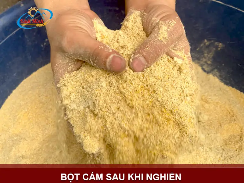 may-nghien-bot-cam_result222