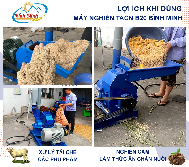 may-nghien-bot-que_result222