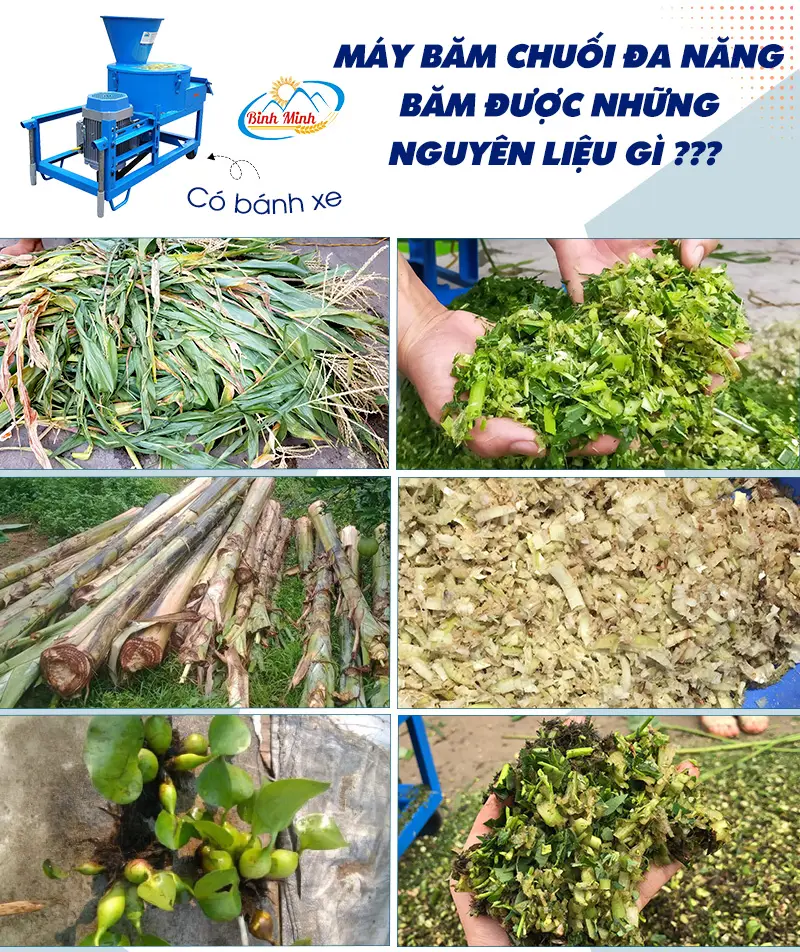 may-xay-chuoi_result222