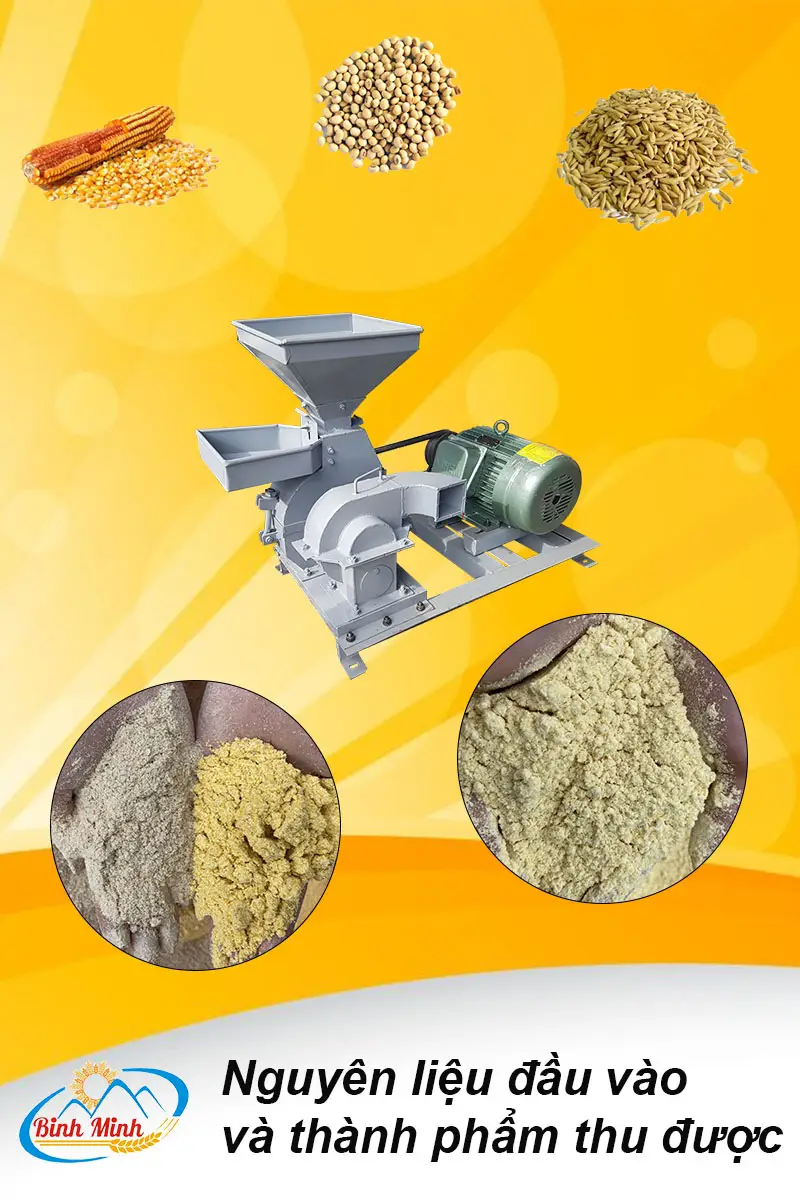 nguyen-lieu-dau-vao-may-nghien-B12_result