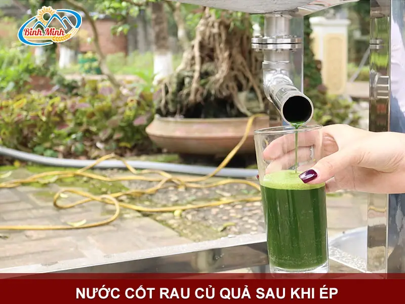 nuoc-cot-rau-cu-qua_result222