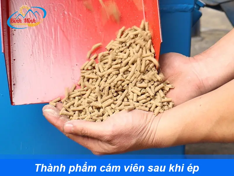 thanh-pham-cam-vien-S300_result
