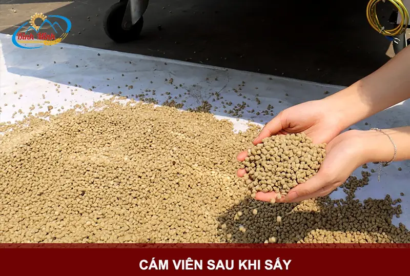 say-cam-vien_result222