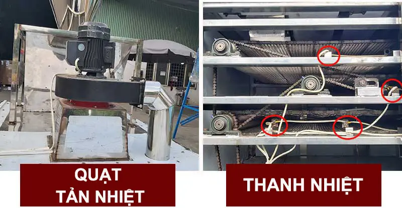 thanh-nhiet_result222