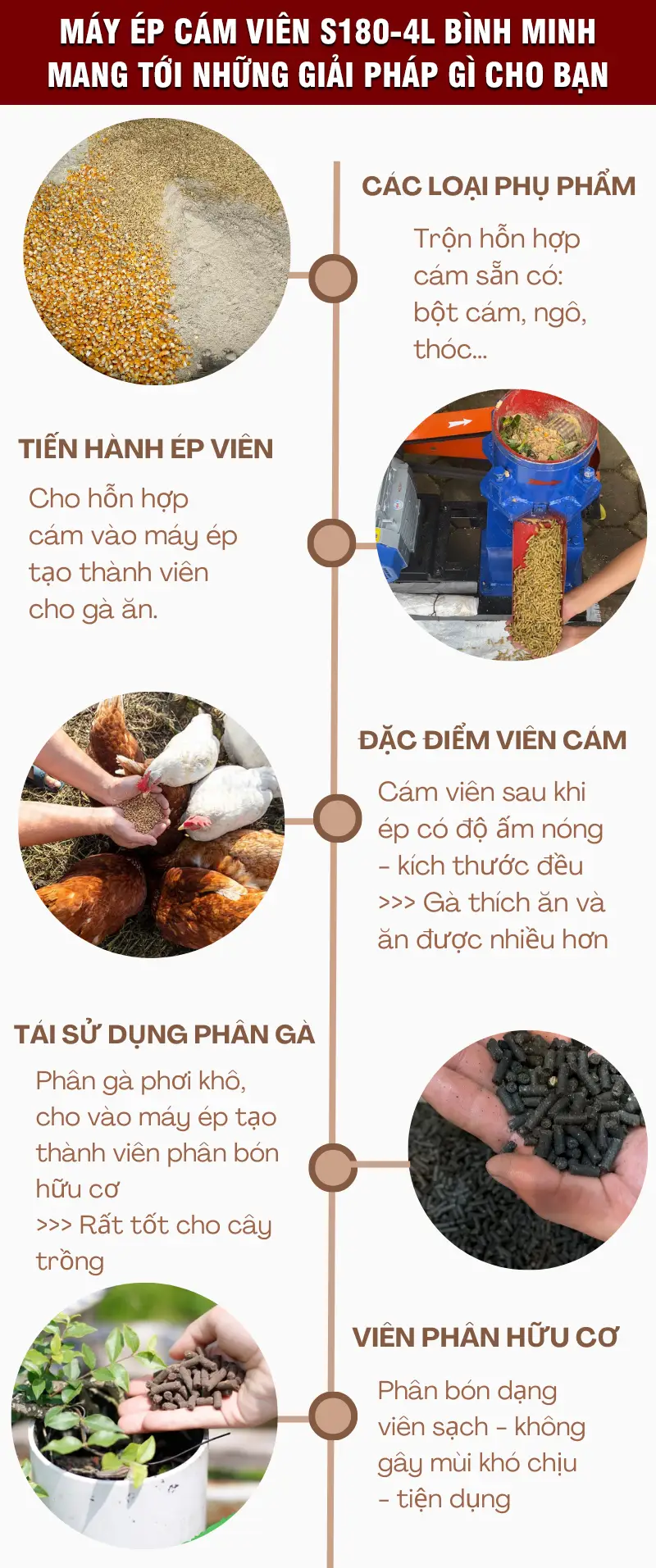 chuc-nang-may-ep-cam-vien_result222