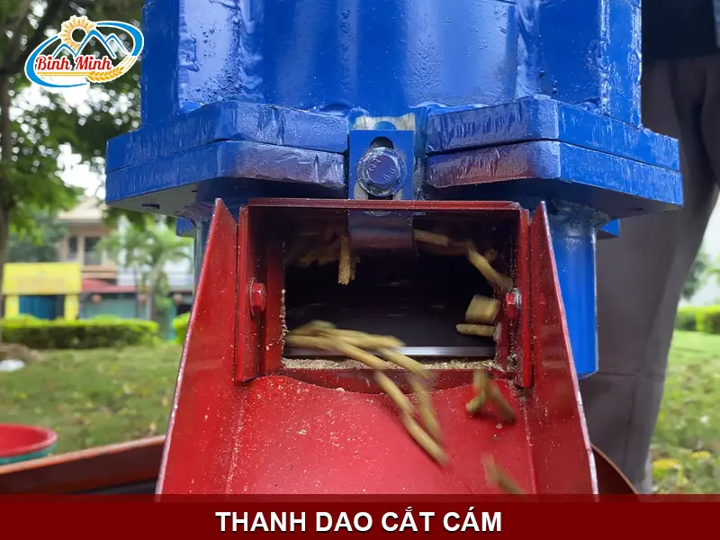 thanh-dao-cat-cam_result222