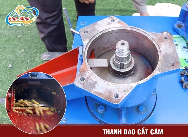 dao-cat-cam_result222