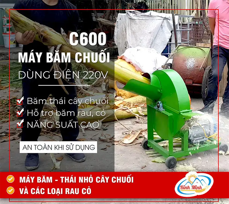 may-bam-chuoi-c600-cong-ty-binh-minh_result222