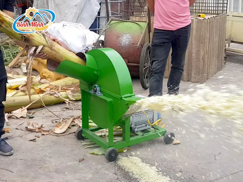 may-bam-chuoi-cho-lon_result222