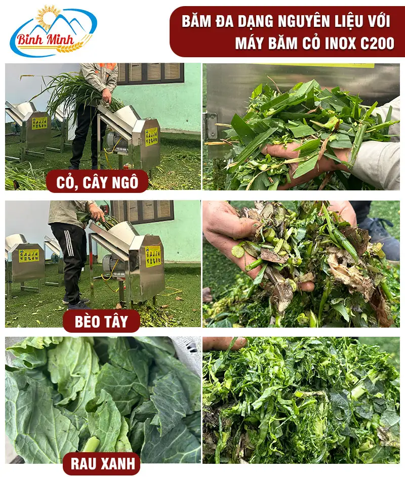 may-bam-cay-ngo_result222