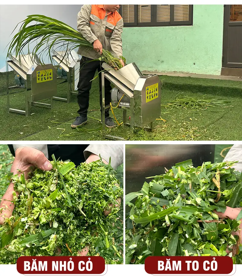 may-bam-co-cho-bo copy_result222