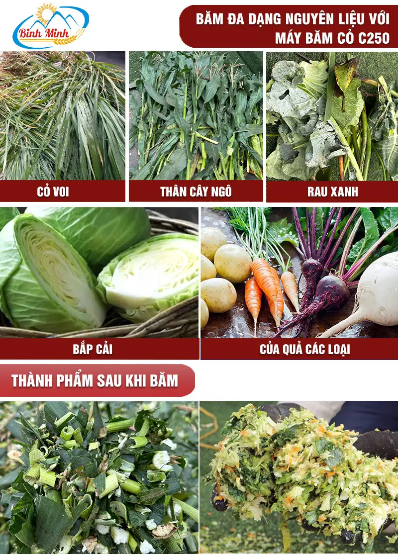 may-bam-rau-cu-qua_result222