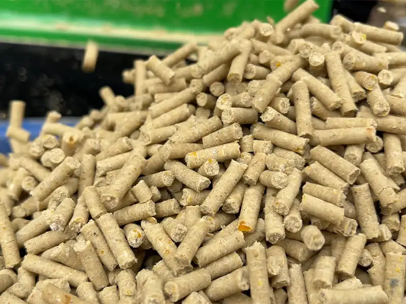 cam-vien-cho-ga_result222