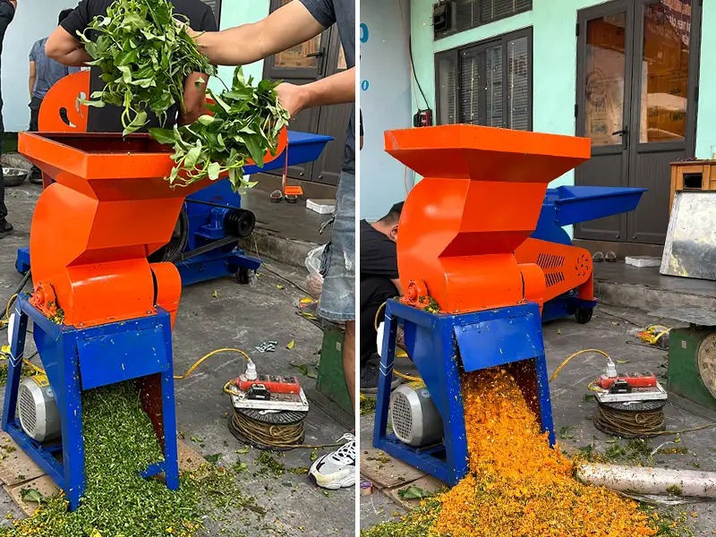 may-bam-rau-cu-qua-binh-minh_result222