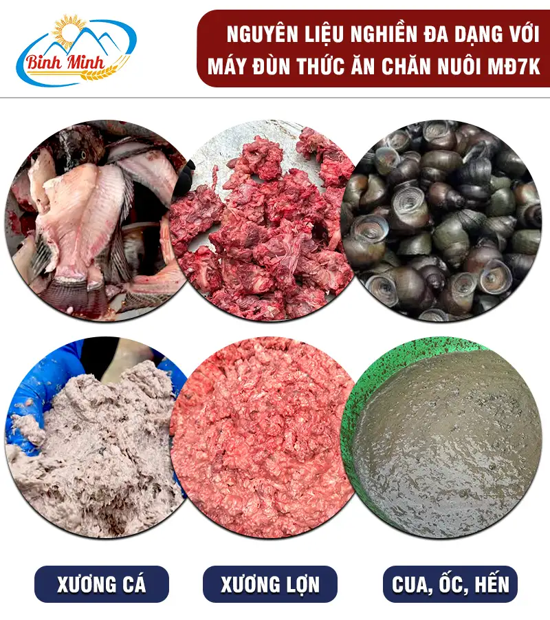 may-dun-ca copy_result222