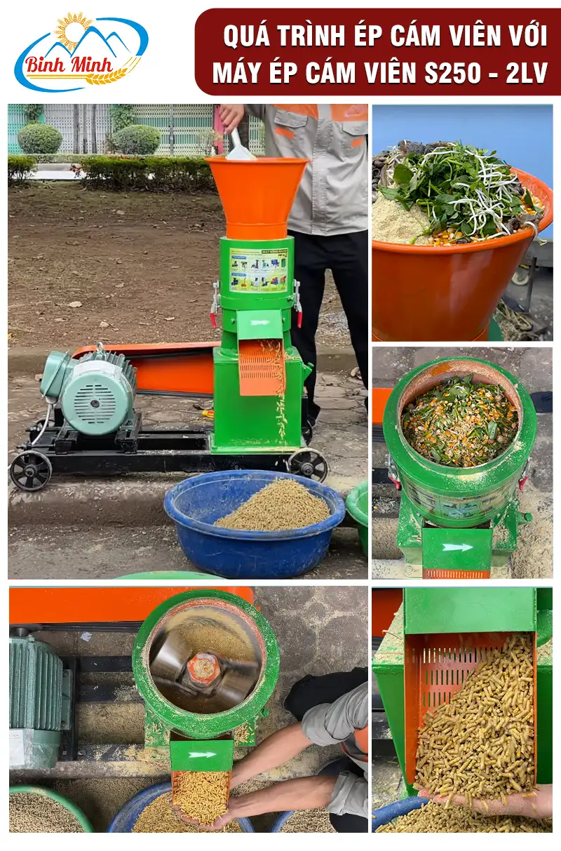 may-ep-cam-vien-cho-ga_result222