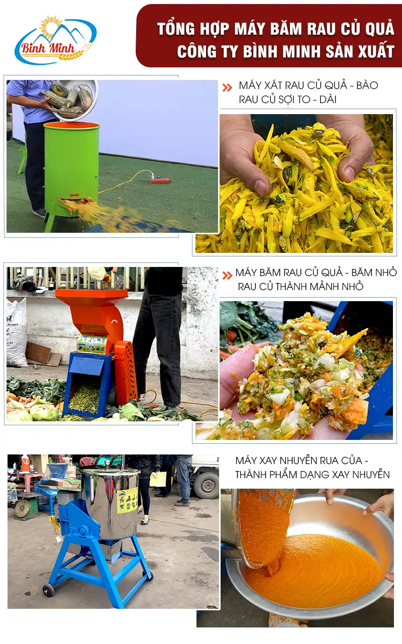 tong-hop-may-bam-rau-cua-qua_result222